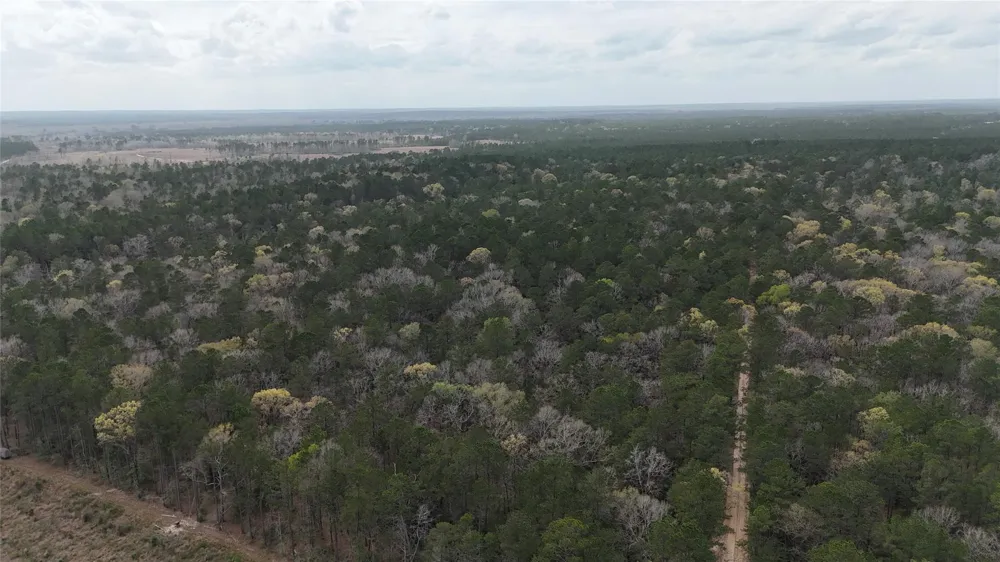 Eureka Corrigan, TX 75939