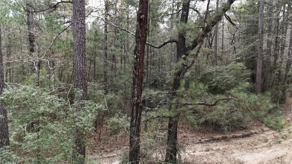 Eureka Corrigan, TX 75939
