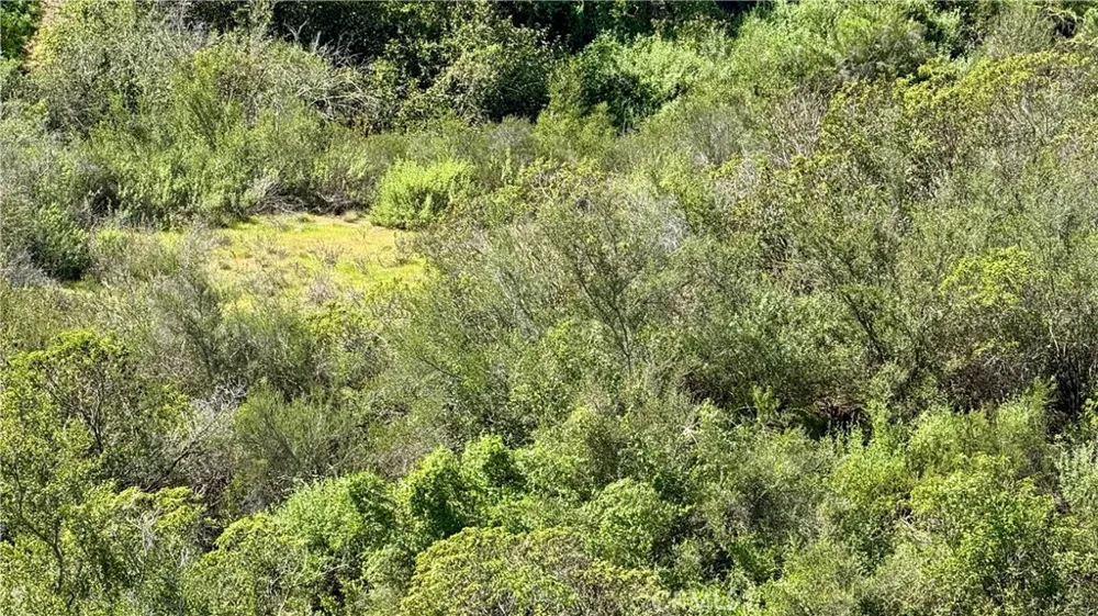 Twin Oaks Valley San Marcos, CA 92069