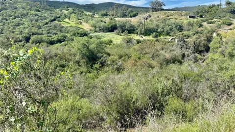 Twin Oaks Valley