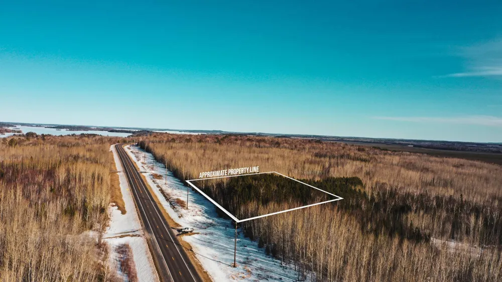 TBD Parcel 17 Hwy 115 Tower, MN 55790