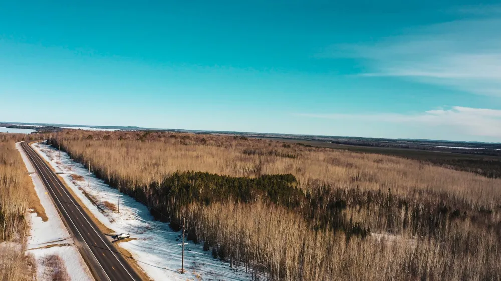 TBD Parcel 17 Hwy 115 Tower, MN 55790