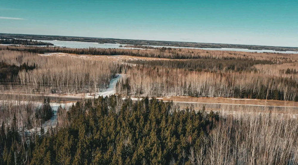 TBD Parcel 17 Hwy 115 Tower, MN 55790