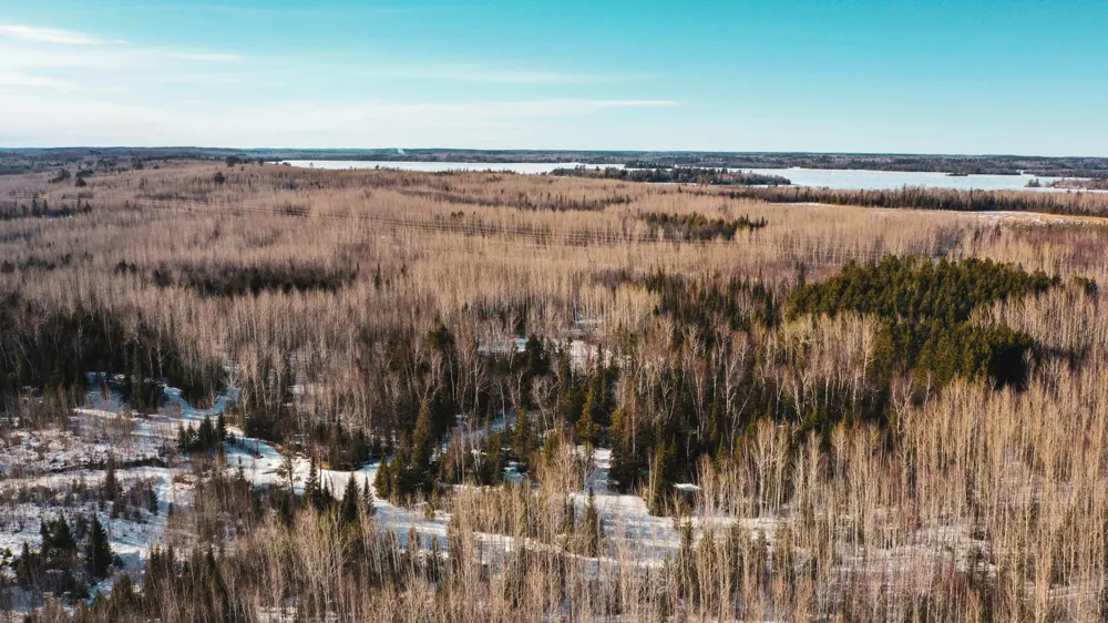 TBD Parcel 17 Hwy 115 Tower, MN 55790