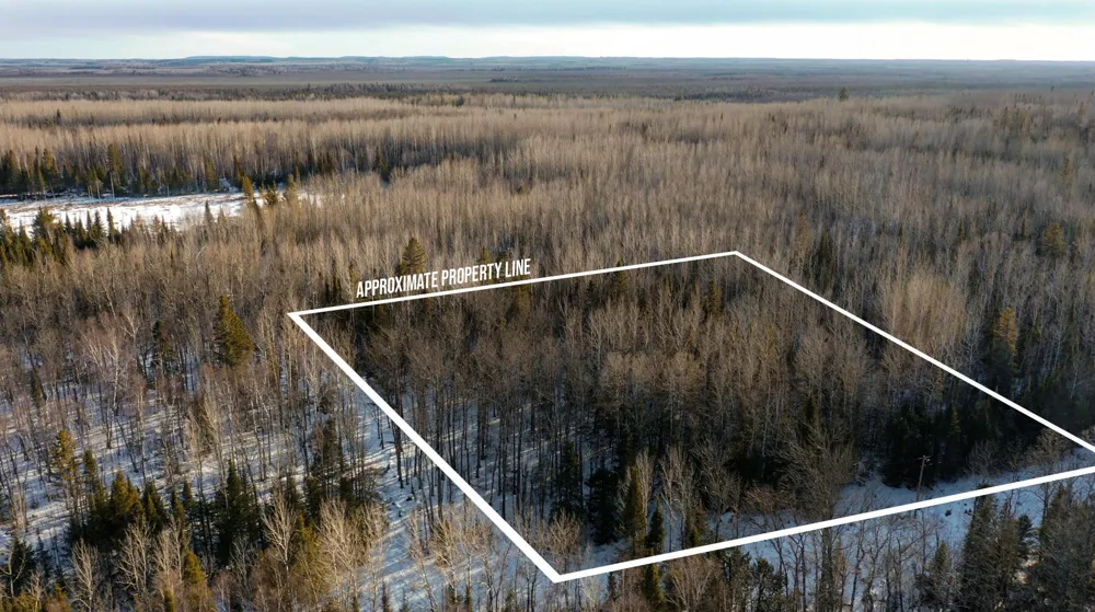 TBD Parcel S Thomas Road Tower, MN 55790