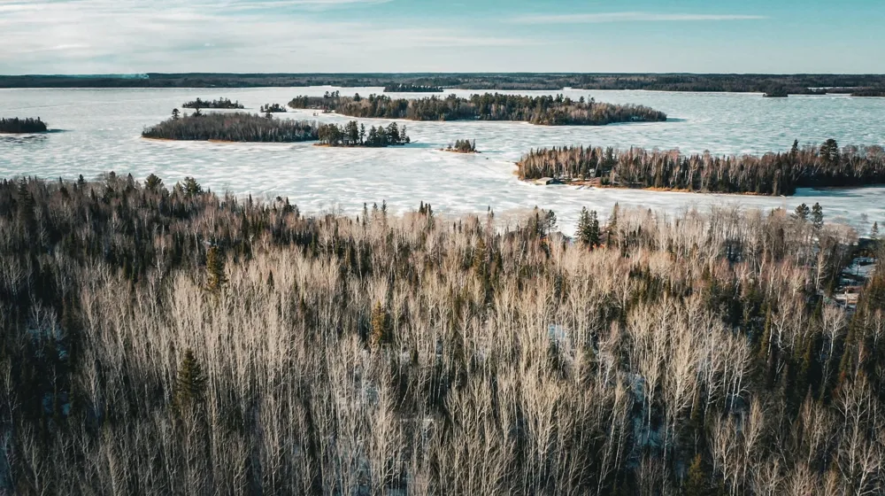 TBD Parcel S Thomas Road Tower, MN 55790