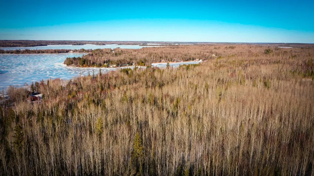TBD Parcel S Thomas Road Tower, MN 55790