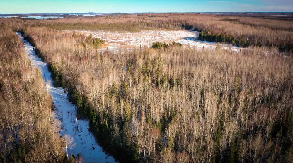 TBD Parcel S Thomas Road Tower, MN 55790
