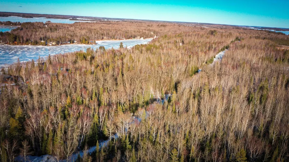 TBD Parcel S Thomas Road Tower, MN 55790