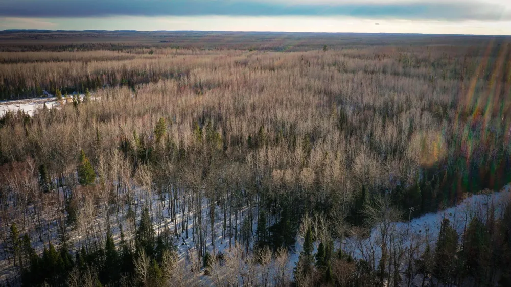 TBD Parcel S Thomas Road Tower, MN 55790
