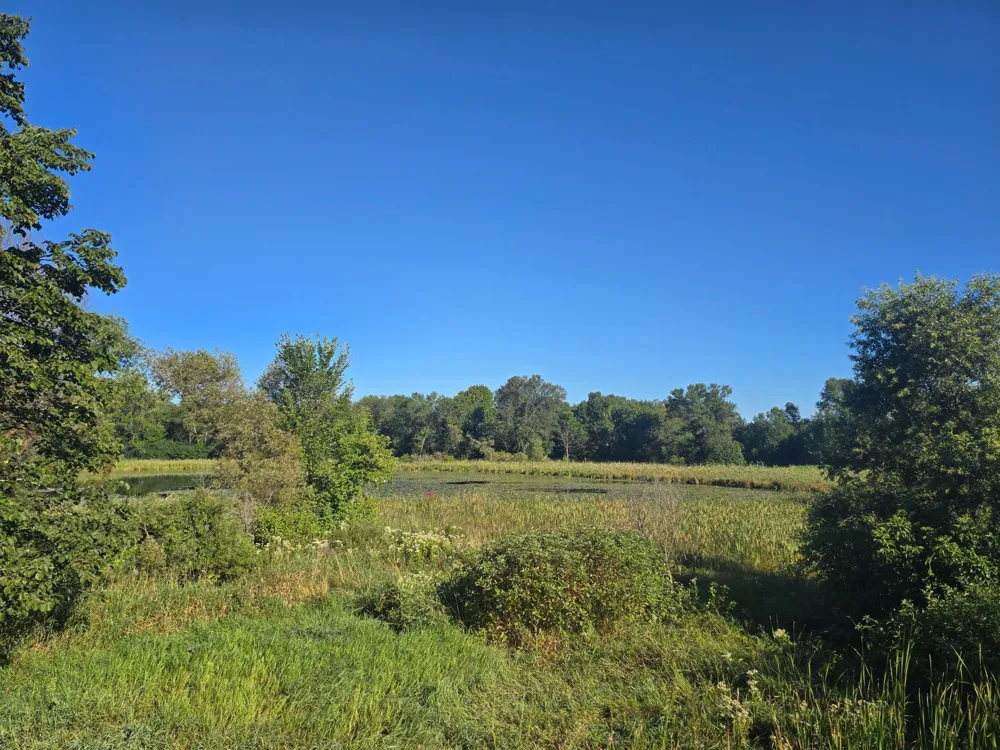 29151 Pleasant Lake Road Underwood, MN 56586