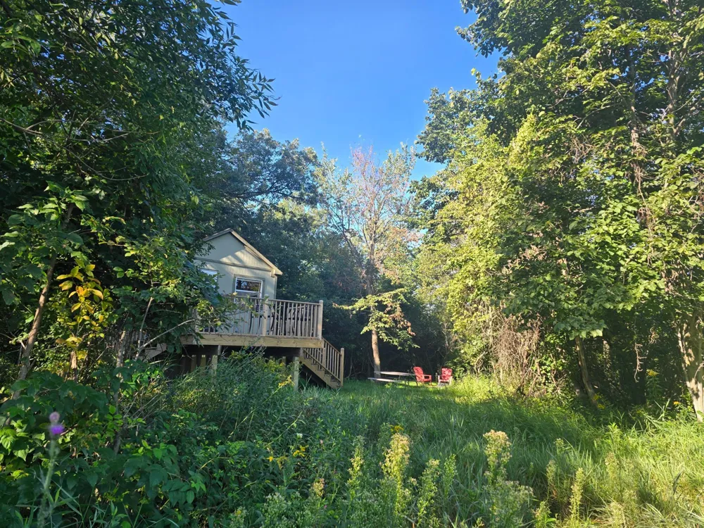 29151 Pleasant Lake Road Underwood, MN 56586