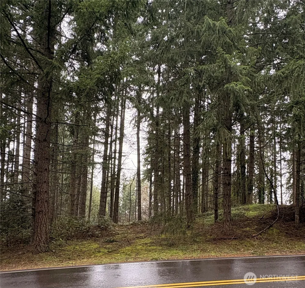 22020 Clearlake Boulevard SE Yelm, WA 98597