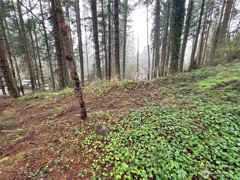 22020 Clearlake Boulevard SE Yelm, WA 98597
