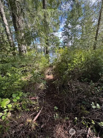 1961 E Trails End Drive Belfair, WA 98528