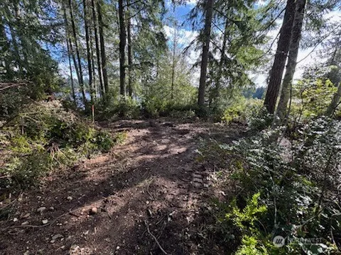 1961 E Trails End Drive Belfair, WA 98528