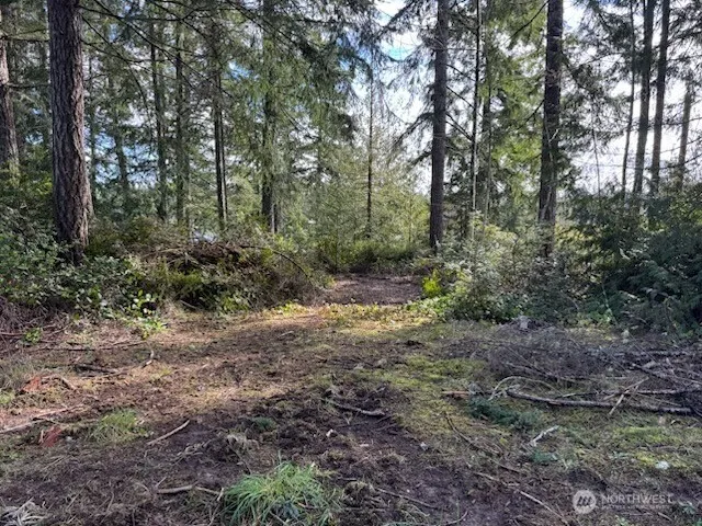 1961 E Trails End Drive Belfair, WA 98528