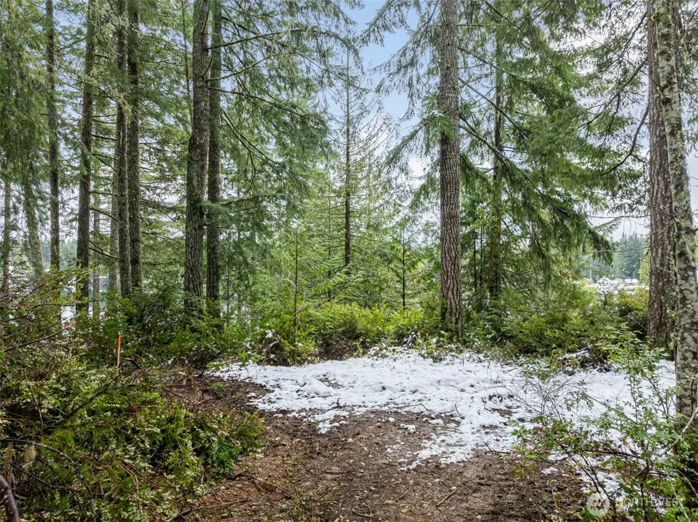 1961 E Trails End Drive Belfair, WA 98528