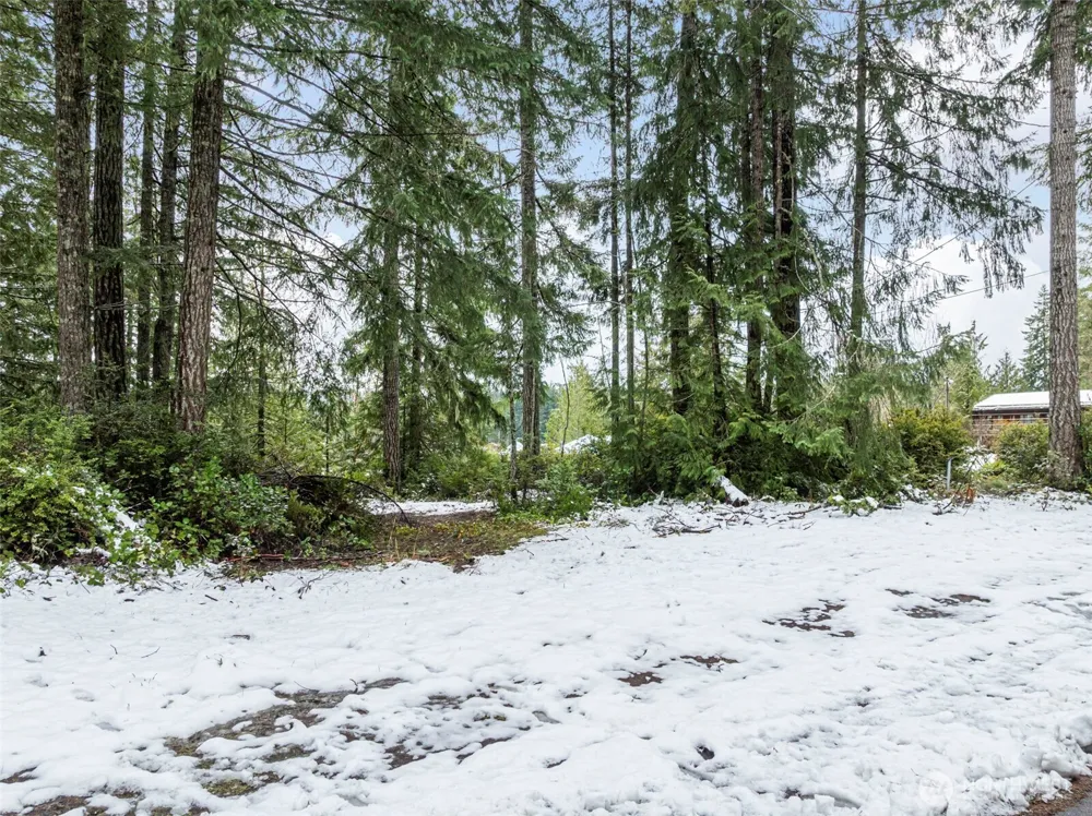1961 E Trails End Drive Belfair, WA 98528