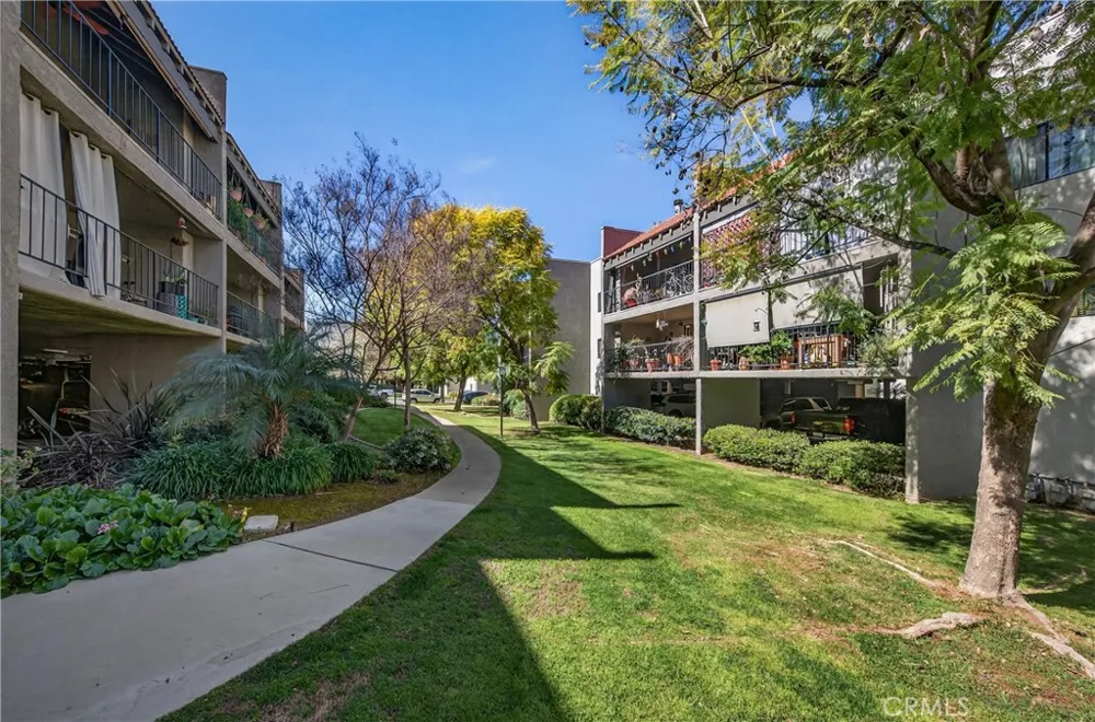 246 E Fern #205 Redlands, CA 92373