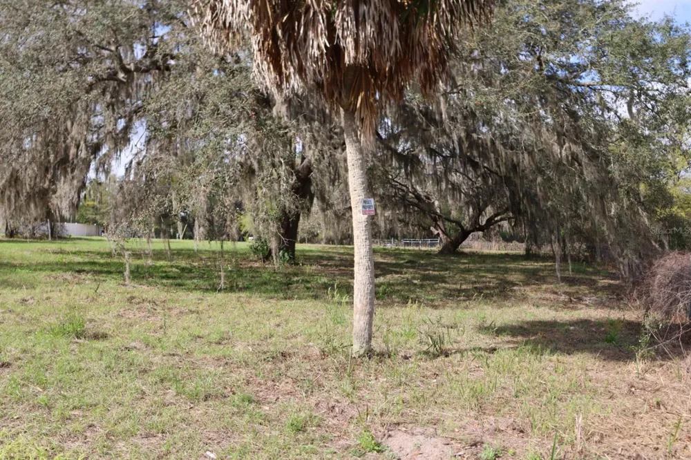 11234 SE 121ST LANE ROAD Belleview, FL 34420