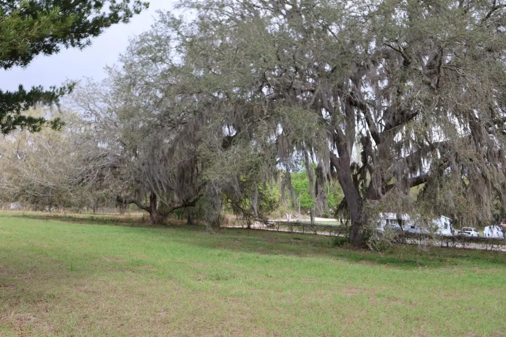 11234 SE 121ST LANE ROAD Belleview, FL 34420