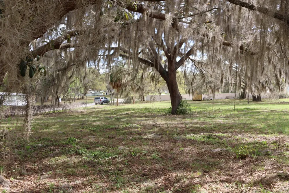 11234 SE 121ST LANE ROAD Belleview, FL 34420