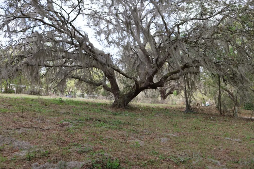 11234 SE 121ST LANE ROAD Belleview, FL 34420