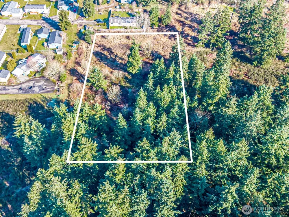 0 222nd Street E Graham, WA 98338
