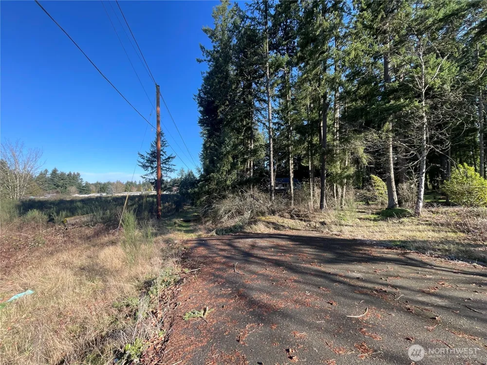 0 222nd Street E Graham, WA 98338