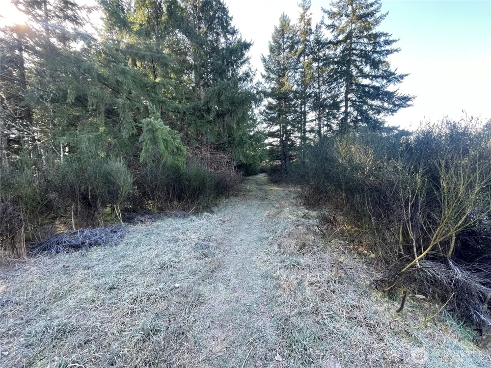 0 222nd Street E Graham, WA 98338