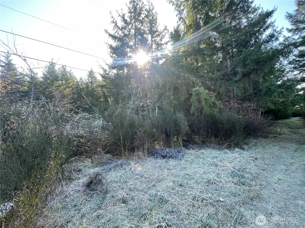 0 222nd Street E Graham, WA 98338