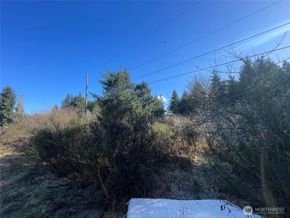 0 222nd Street E Graham, WA 98338