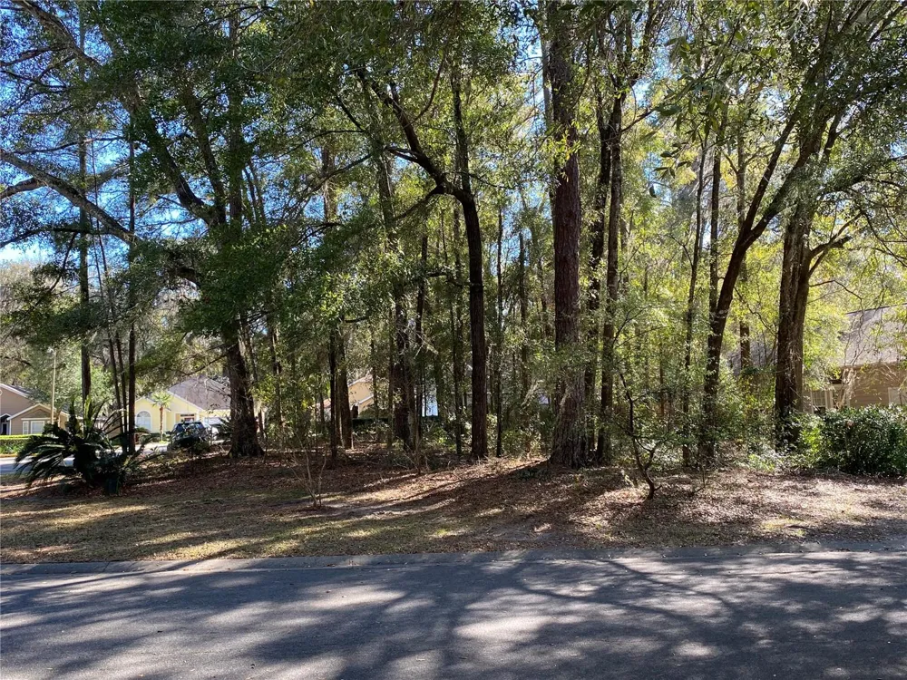 12345 NW 10TH PLACE Newberry, FL 32669