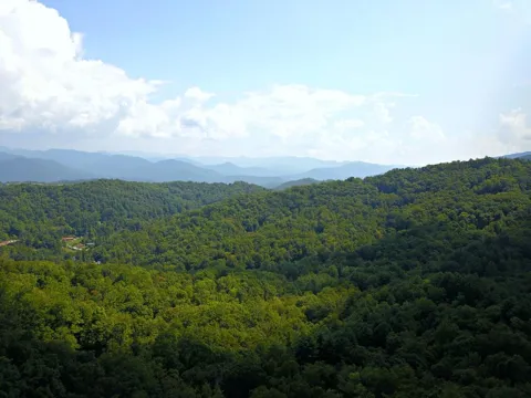 Mountain Forest Estates Road