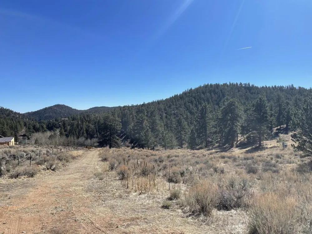 1018 Beartrap Road Red Feather Lakes, CO 80545