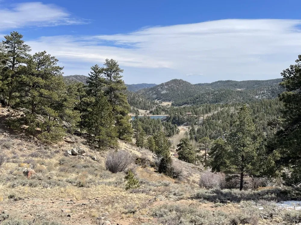 1018 Beartrap Road Red Feather Lakes, CO 80545