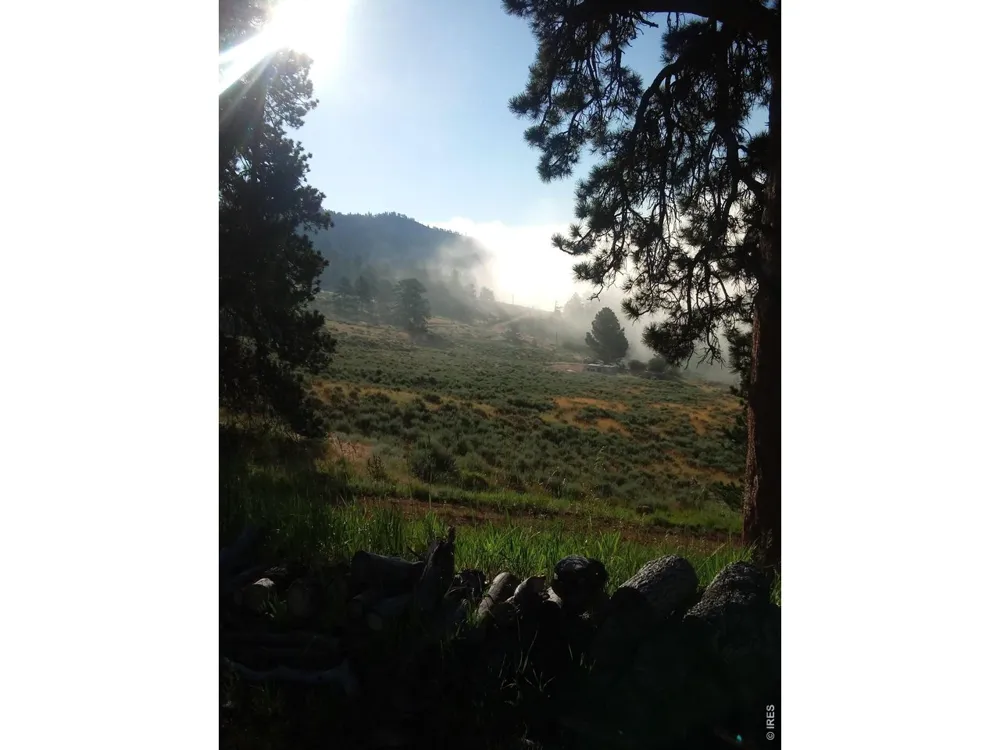 1018 Beartrap Road Red Feather Lakes, CO 80545