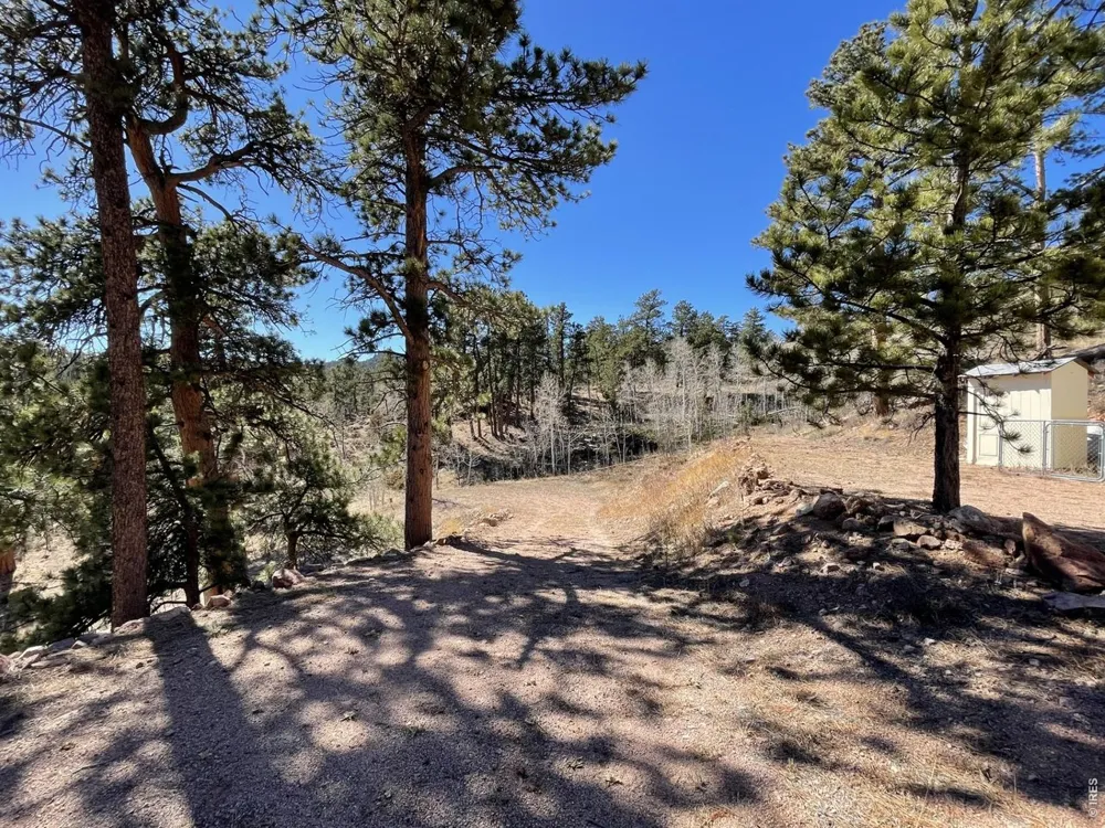 1018 Beartrap Road Red Feather Lakes, CO 80545