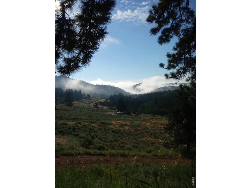 1018 Beartrap Road Red Feather Lakes, CO 80545