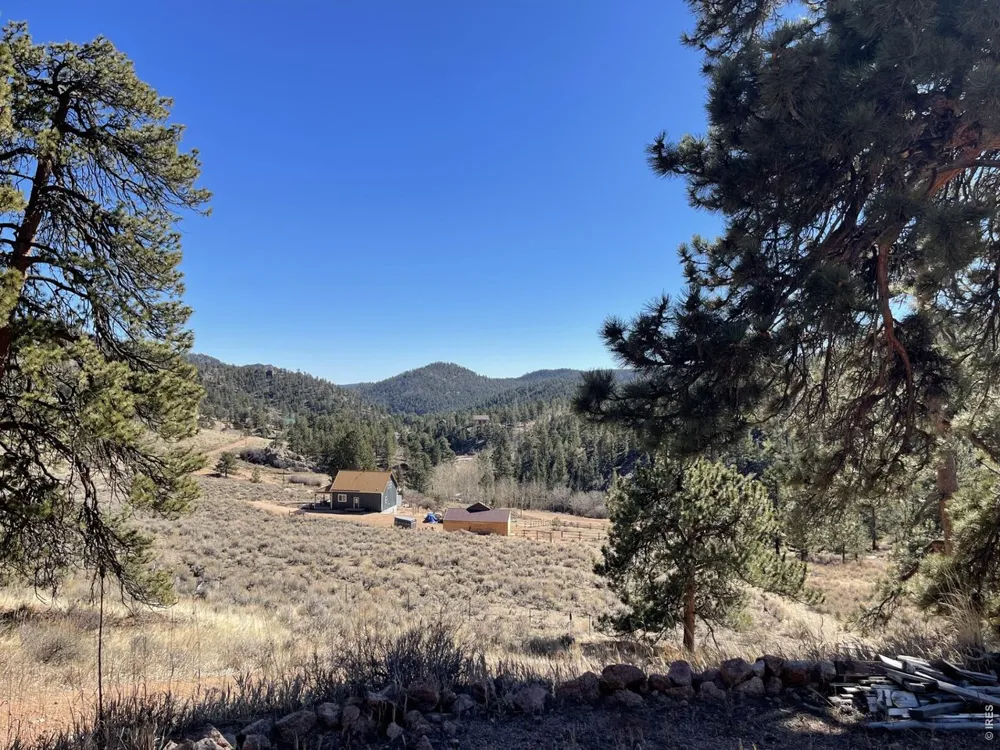1018 Beartrap Road Red Feather Lakes, CO 80545