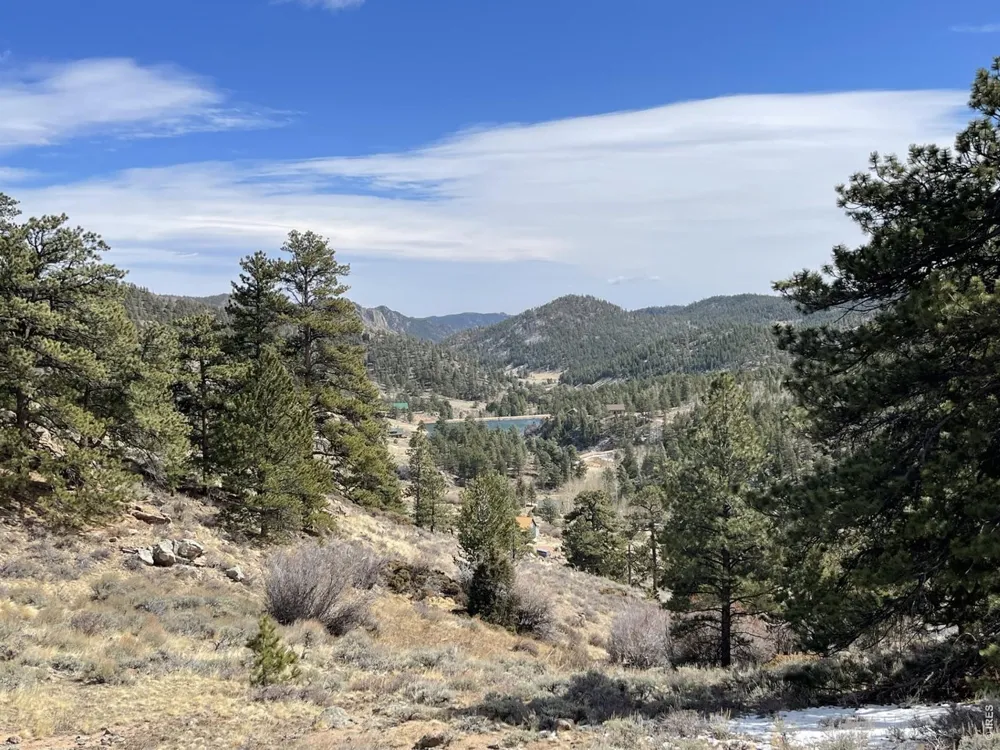 1018 Beartrap Road Red Feather Lakes, CO 80545