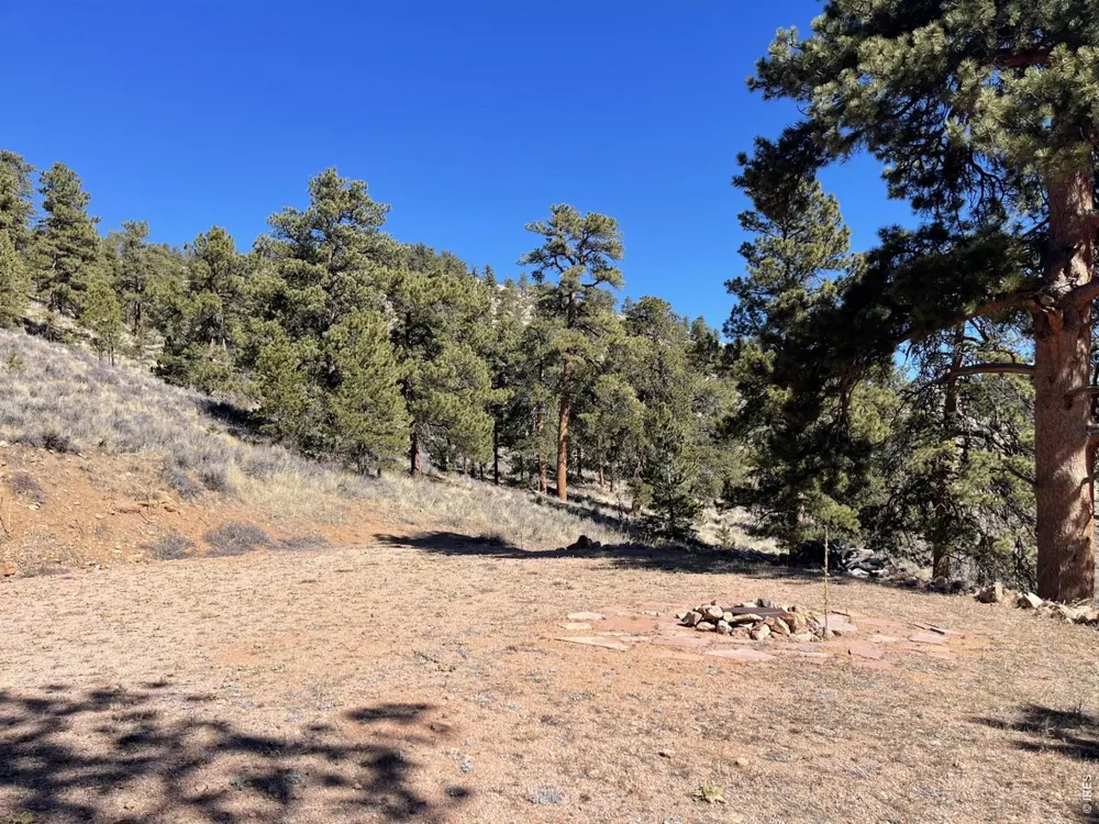 1018 Beartrap Road Red Feather Lakes, CO 80545