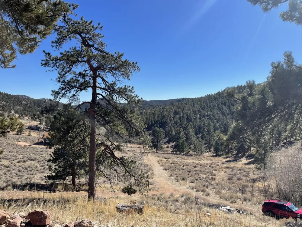 1018 Beartrap Road Red Feather Lakes, CO 80545