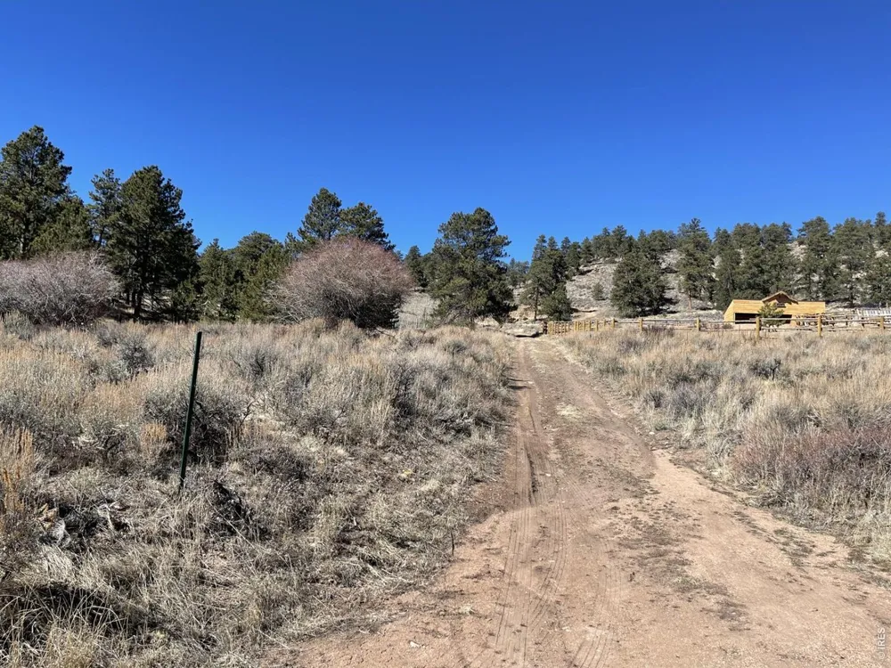 1018 Beartrap Road Red Feather Lakes, CO 80545