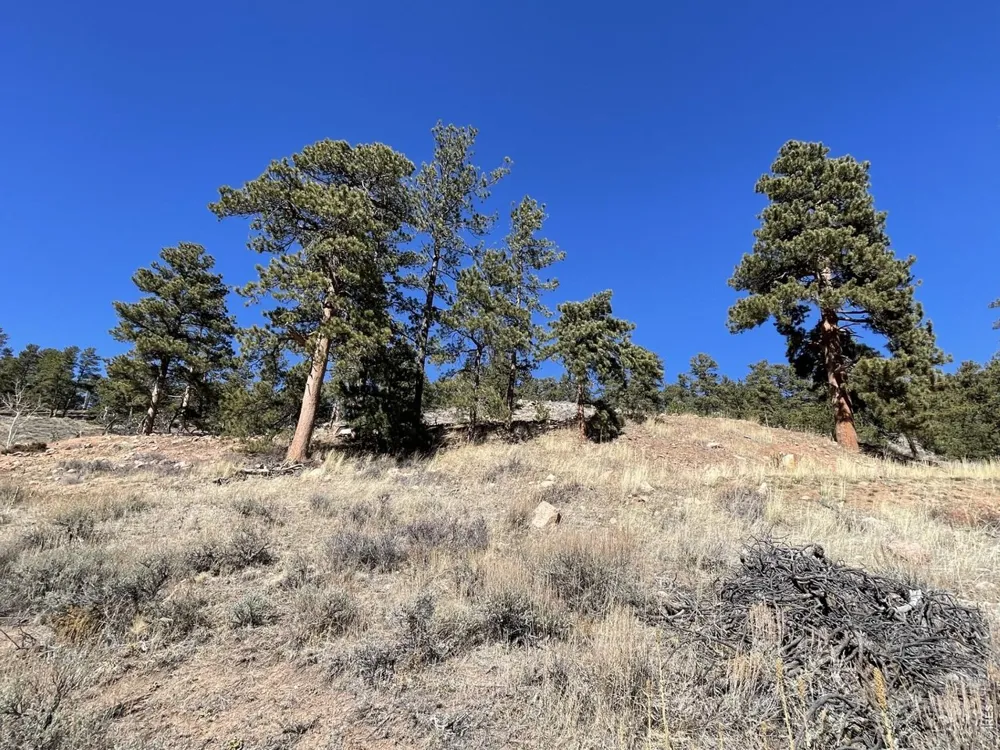 1018 Beartrap Road Red Feather Lakes, CO 80545