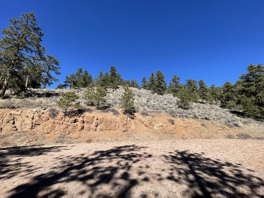1018 Beartrap Road Red Feather Lakes, CO 80545