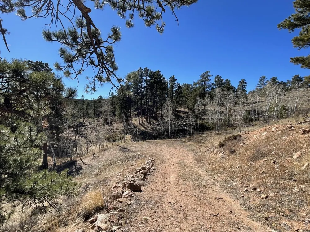 1018 Beartrap Road Red Feather Lakes, CO 80545