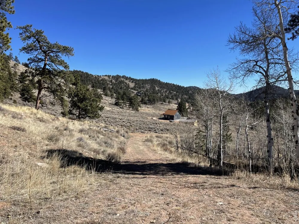 1018 Beartrap Road Red Feather Lakes, CO 80545