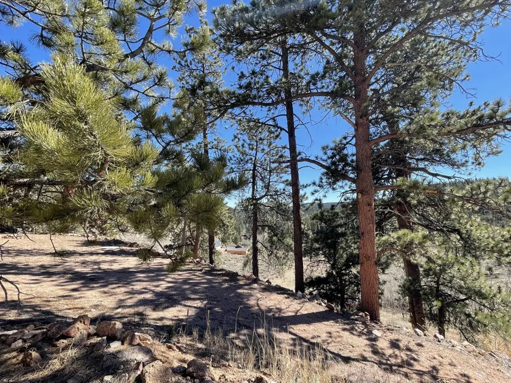1018 Beartrap Road Red Feather Lakes, CO 80545